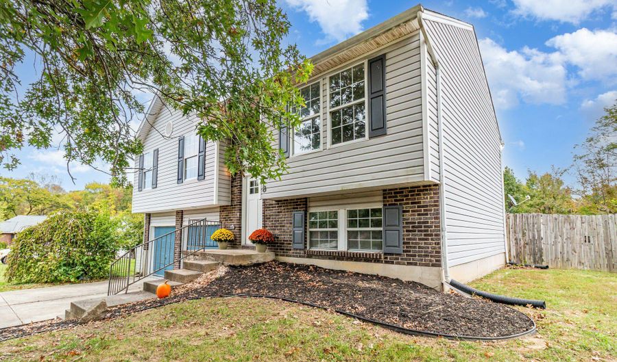 8 Driftwood Ct, Alexandria, KY 41001 - 3 Beds, 2 Bath