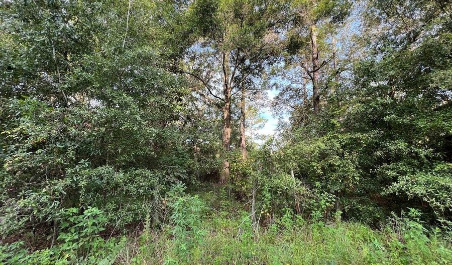 Lot 1 20th Ave, Bell, FL 32619 - 0 Beds, 0 Bath