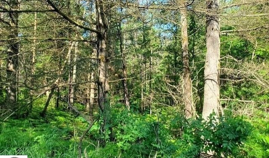 Quigley Road 40 Acres Quigley Road, Alger, MI 48610 - 0 Beds, 0 Bath
