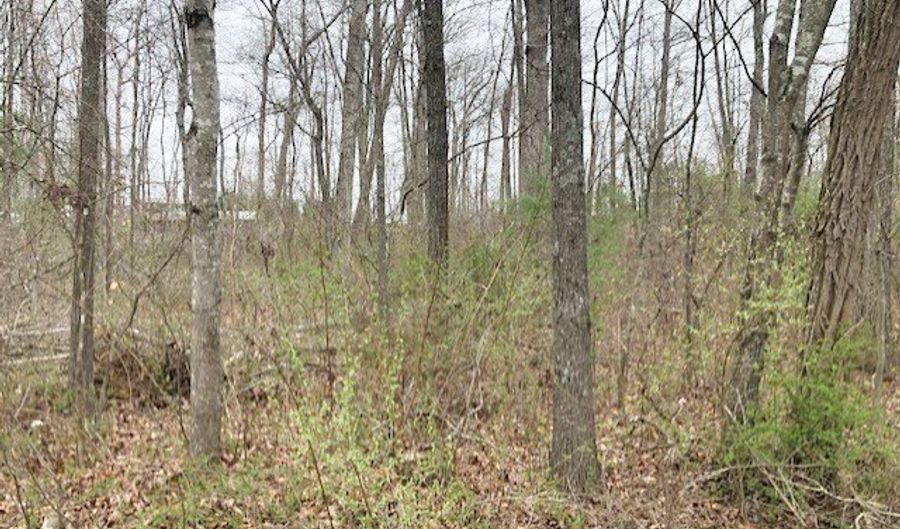 Della Lane lot 6 8, Austinville, VA 24312 - 0 Beds, 0 Bath
