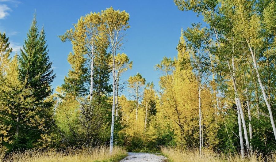 S STATE LINE Road, Alta, WY 83414 - 0 Beds, 0 Bath