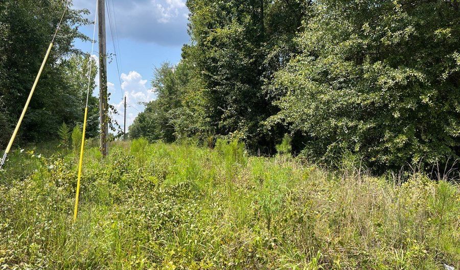 TBD County Road 57, Abbeville, AL 36310 - 0 Beds, 0 Bath