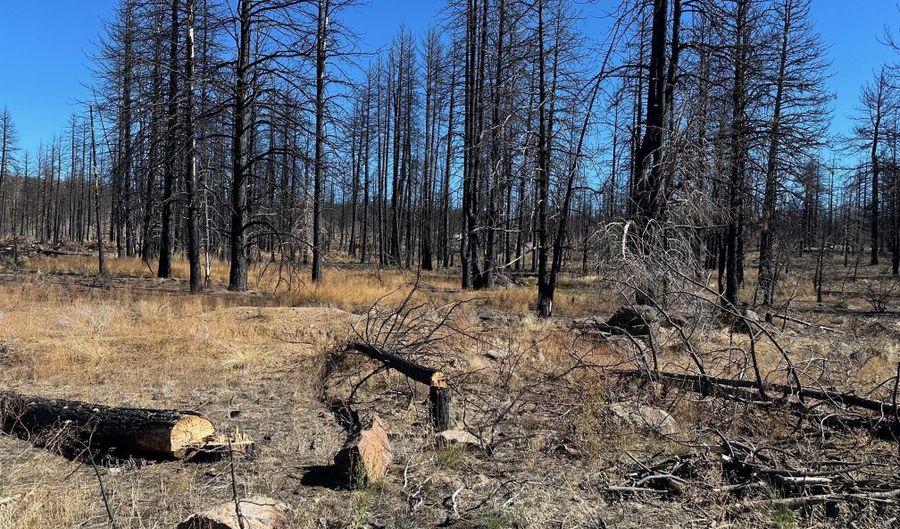 Cardinal Drive Lot 2100, Bonanza, OR 97623 - 0 Beds, 0 Bath