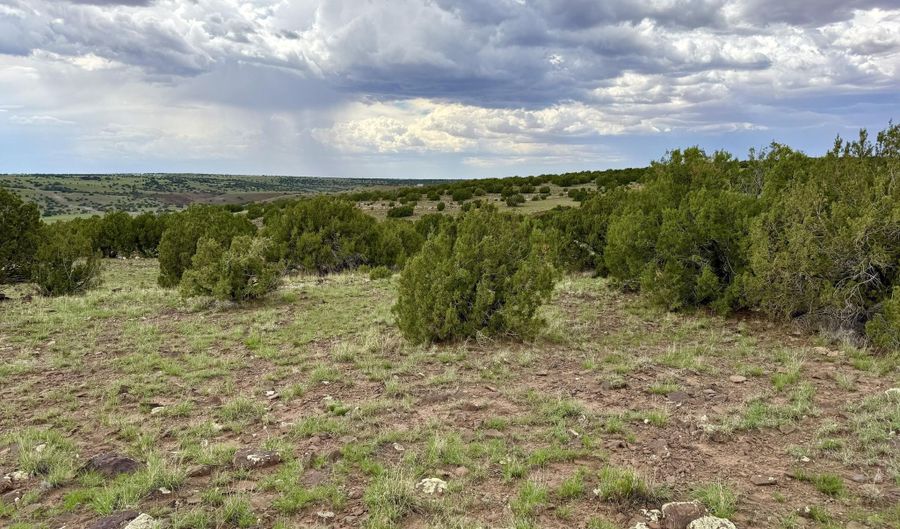 127 Co Rd 8051, Concho, AZ 85924 - 0 Beds, 0 Bath