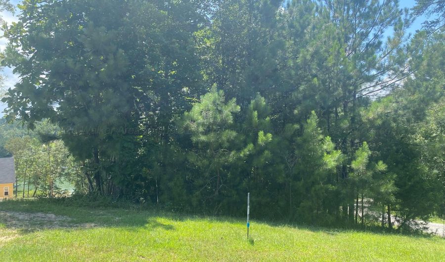 ARLEY LANDING lot # 12, Arley, AL 35541 - 0 Beds, 0 Bath