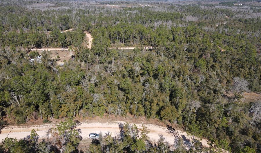 Trenton Avenue, Alford, FL 32420 - 0 Beds, 0 Bath