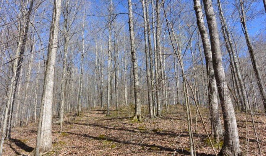 Trinity Lane lot 4, Allons, TN 38541 - 0 Beds, 0 Bath