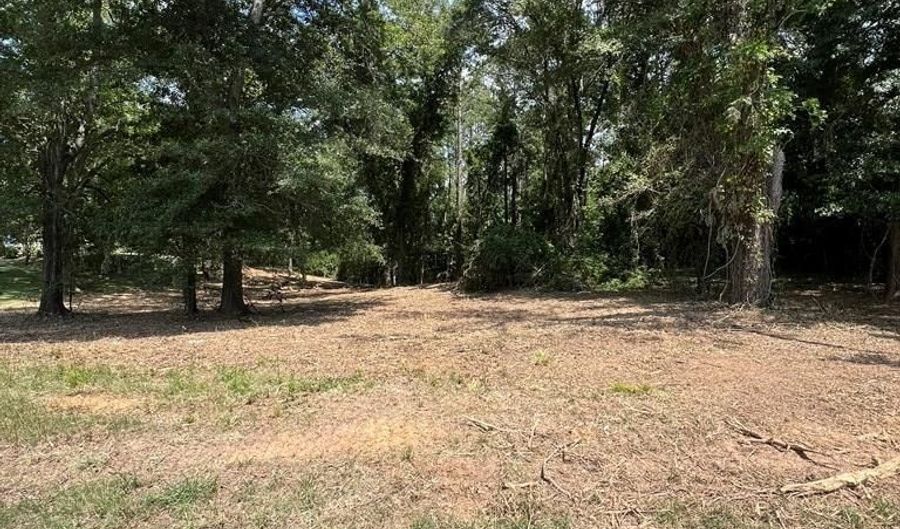 00 US Hwy 29, Banks, AL 36005 - 0 Beds, 0 Bath
