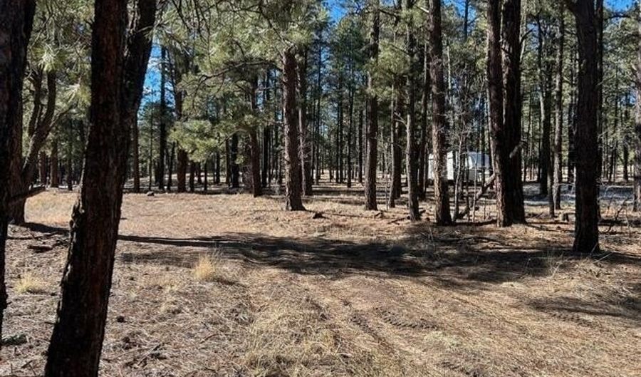 CR N2121, Alpine, AZ 85920 - 0 Beds, 0 Bath