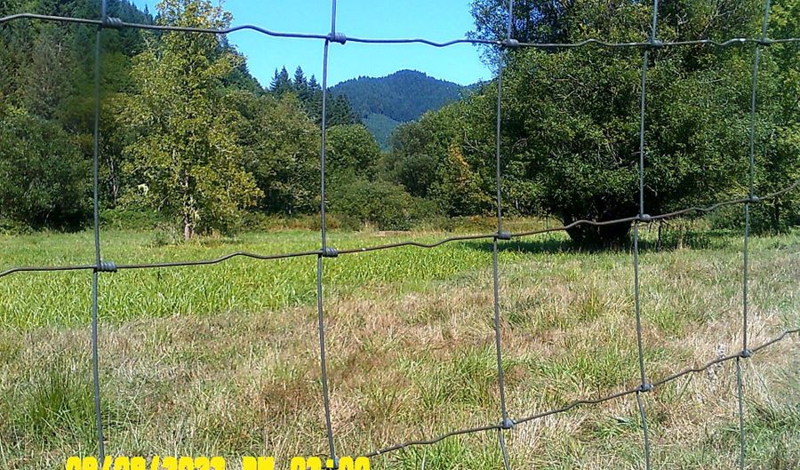 18624 HIGHWAY 36, Blachly, OR 97412 - 0 Beds, 0 Bath