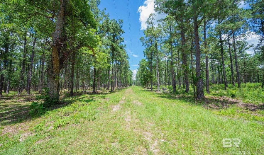 0 County Road 86, Bay Minette, AL 36507 - 0 Beds, 0 Bath