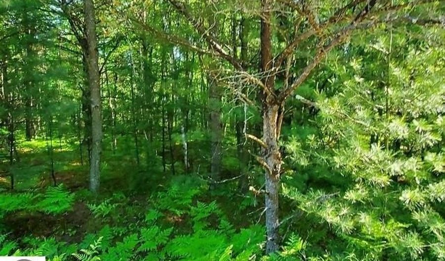 Hillside Drive lot 62, Alger, MI 48610 - 0 Beds, 0 Bath
