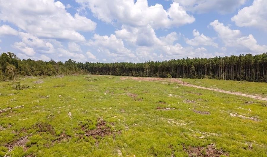 R53358 Tract 3 HWY 94, Apple Springs, TX 75926 - 0 Beds, 0 Bath