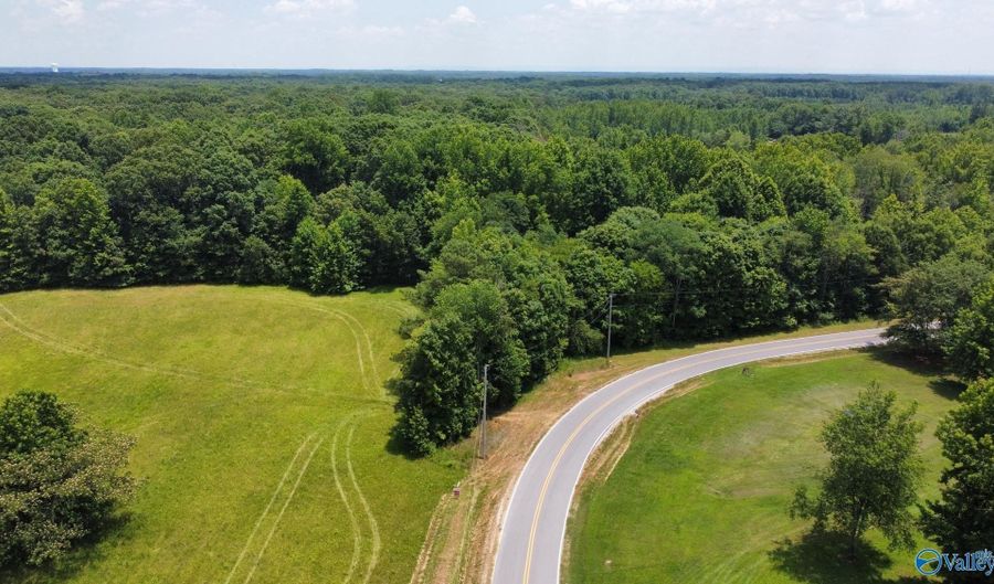 45 55 Acres Cook Rd, Ardmore, AL 35739 - 0 Beds, 0 Bath