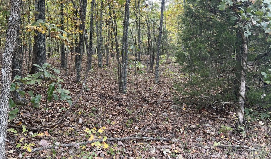 County Road 113 lot 1, Alton, MO 65606 - 0 Beds, 0 Bath