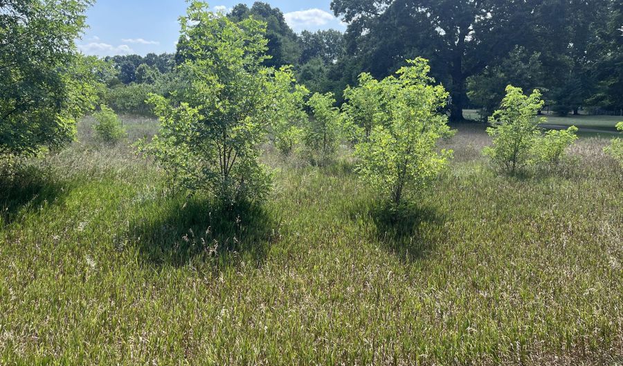 3380 Babylon Rd, Allegan, MI 49010 - 0 Beds, 0 Bath