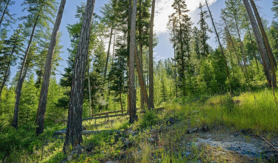 234 Trading Post Trl, Bigfork, MT 59911 - 0 Beds, 0 Bath