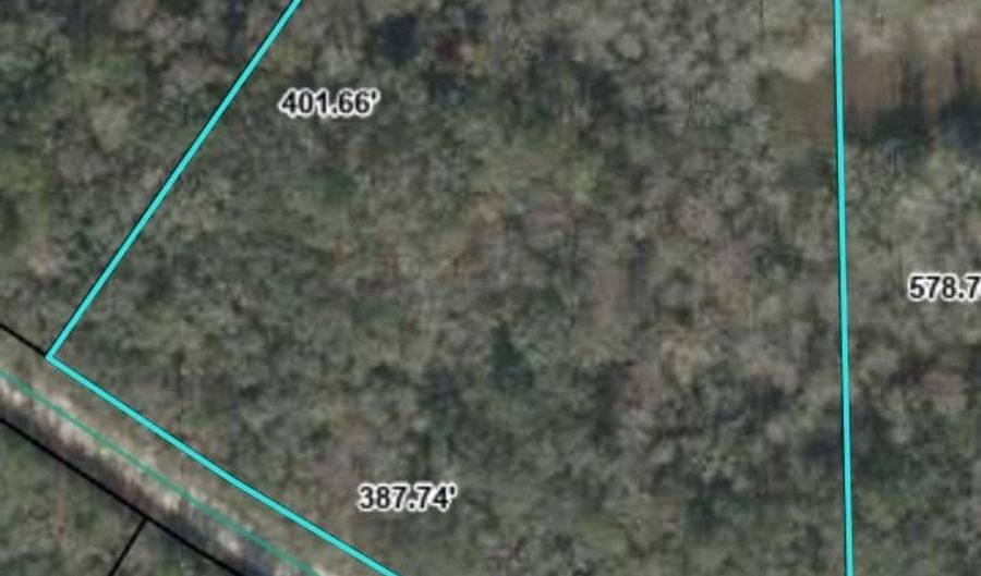 000 73rd Way, Bell, FL 32619 - 0 Beds, 0 Bath