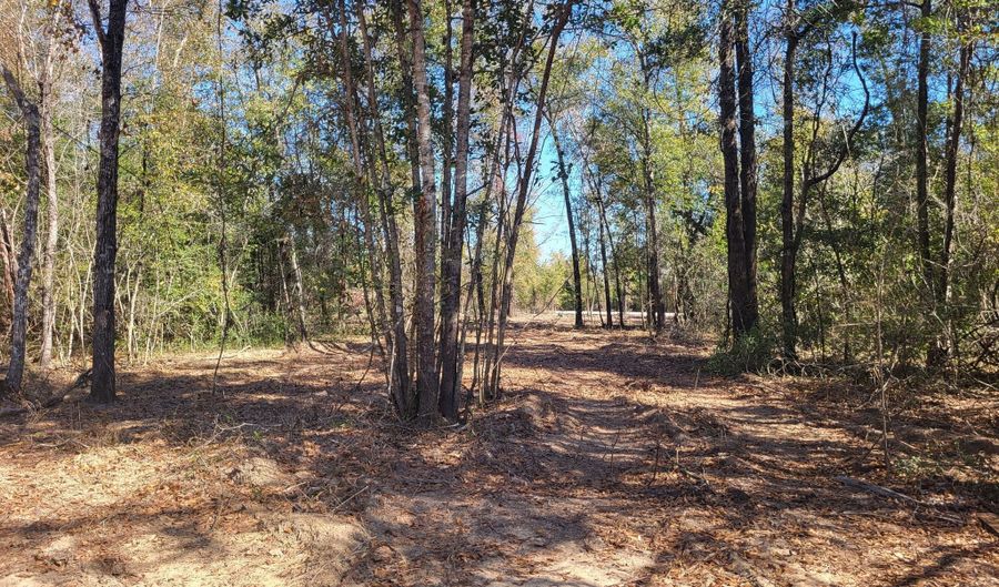 Tommy Tucker Road lot 3, Altha, FL 32421 - 0 Beds, 0 Bath