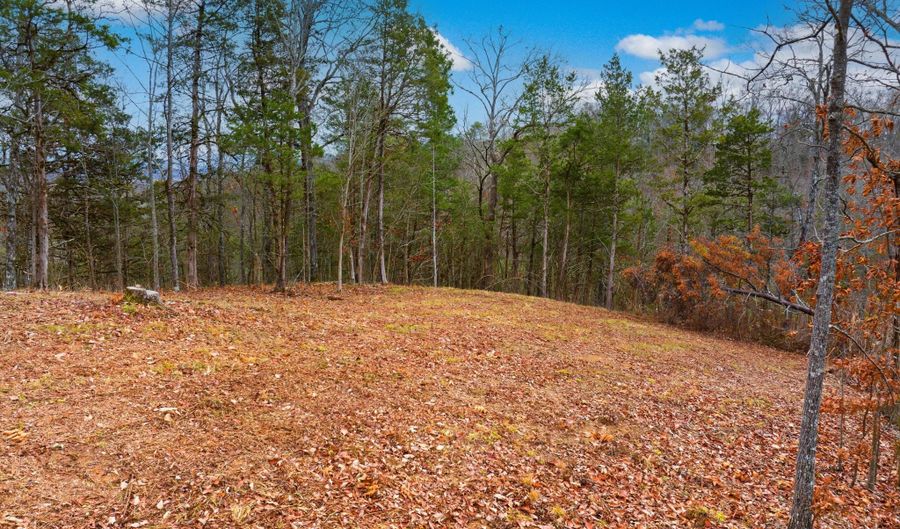 1556 Hollow Springs Rd, Baneberry, TN 37890 - 0 Beds, 0 Bath
