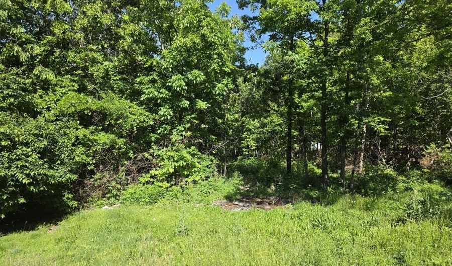 11 Private Road Aa-84, Alton, MO 65606 - 0 Beds, 0 Bath