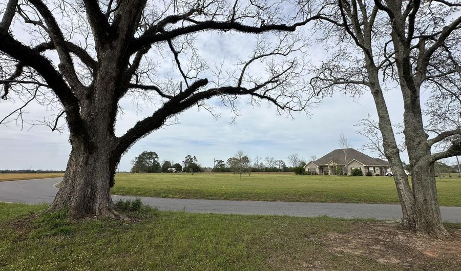 Vinson Ray Road, Baker, FL 32531 - 0 Beds, 0 Bath