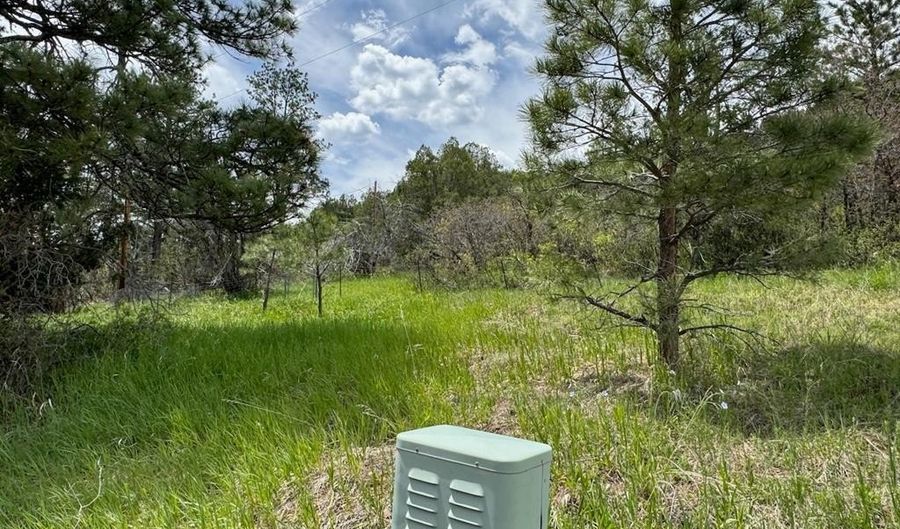 TBD-2 Vine Mesa Ave, Beulah, CO 81023 - 0 Beds, 0 Bath
