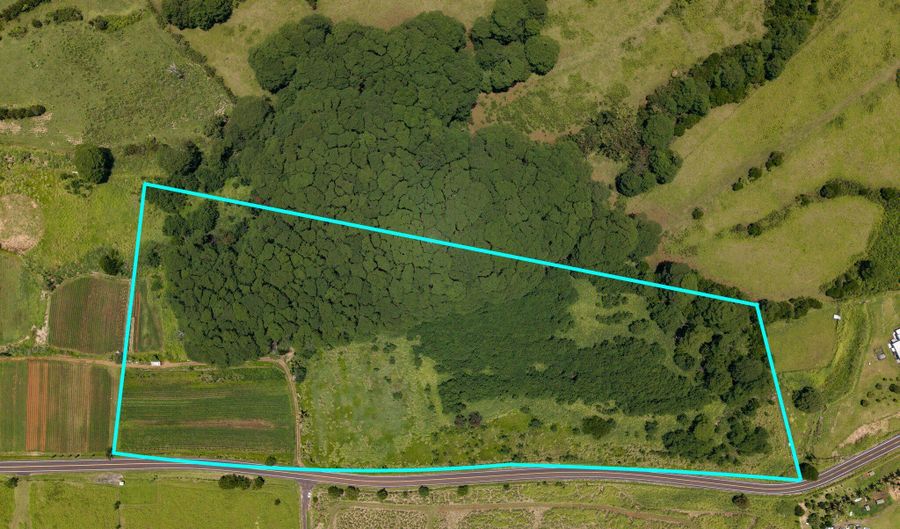 AKAKA FALLS ROAD, Honomu, HI 96728 - 0 Beds, 0 Bath