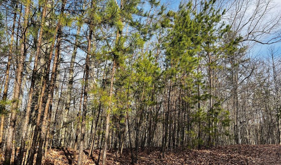 Planters Pointe Drive lot 6, Baldwin, GA 30511 - 0 Beds, 0 Bath