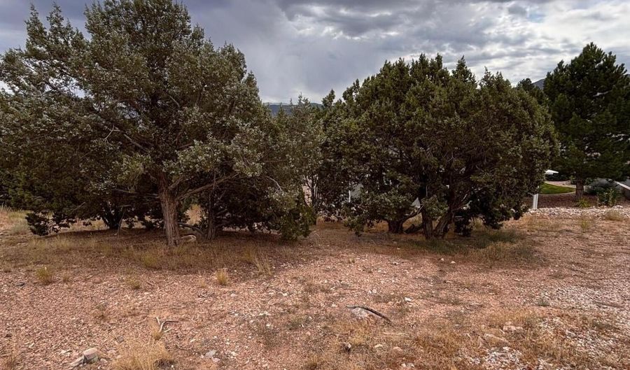 338 N Pachea Trl, Cedar City, UT 84720 - 0 Beds, 0 Bath