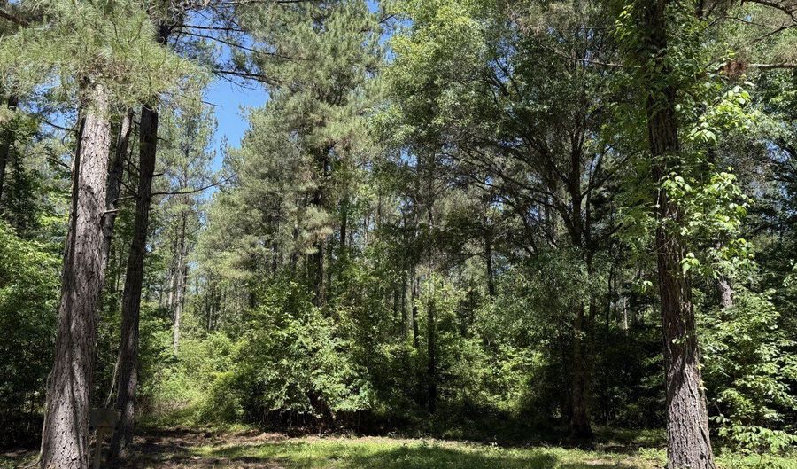 county road 222, Abbeville, AL 36310 - 0 Beds, 0 Bath