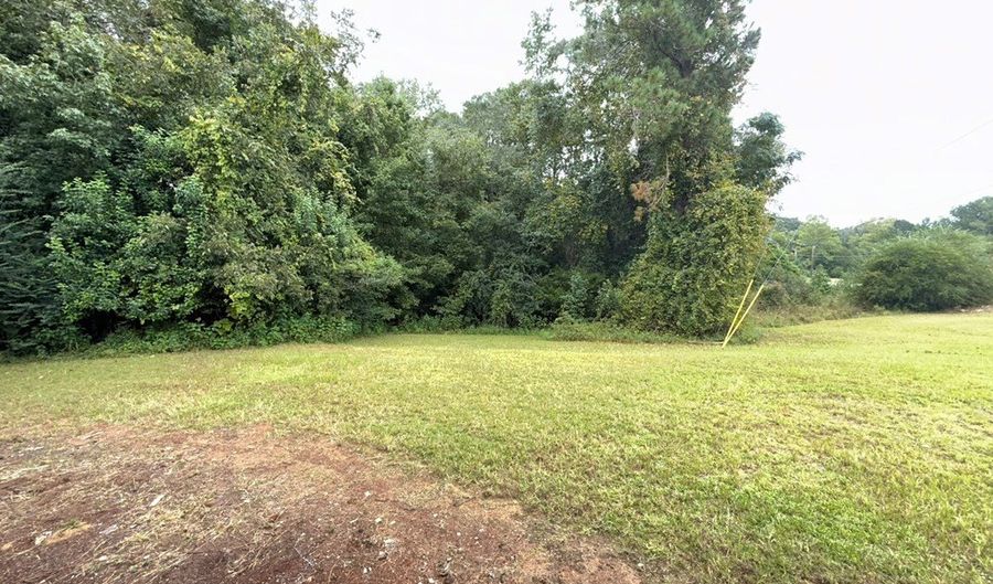 245 Washington St, Abbeville, AL 36310 - 0 Beds, 0 Bath