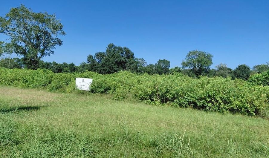 STATE HIGHWAY 288, Angleton, TX 77515 - 0 Beds, 0 Bath