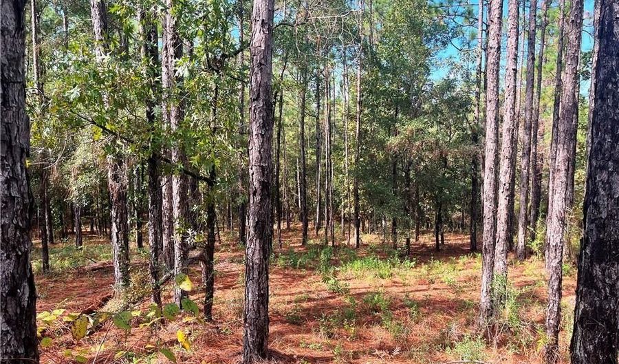 0 State Highway 225, Bay Minette, AL 36507 - 0 Beds, 0 Bath