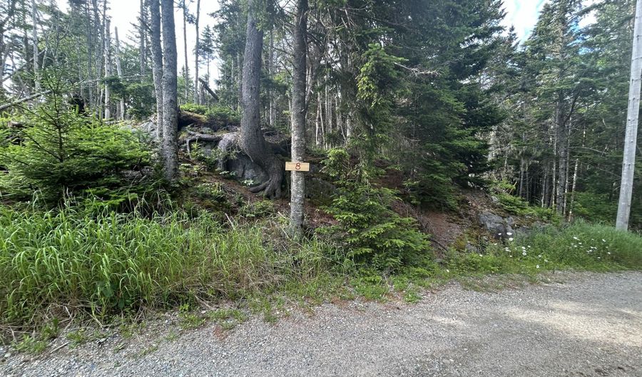 8 9 10 & 14 Kent/Bar Island/Wohoa Bay Rd, Addison, ME 04606 - 0 Beds, 0 Bath