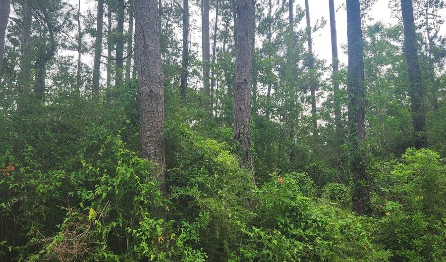 5 Th St Lot 648, Bay St. Louis, MS 39520 - 0 Beds, 0 Bath
