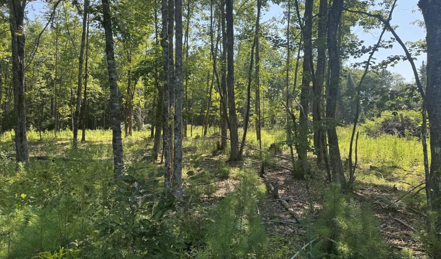 Brookside Lane, Appleton, ME 04862 - 0 Beds, 0 Bath