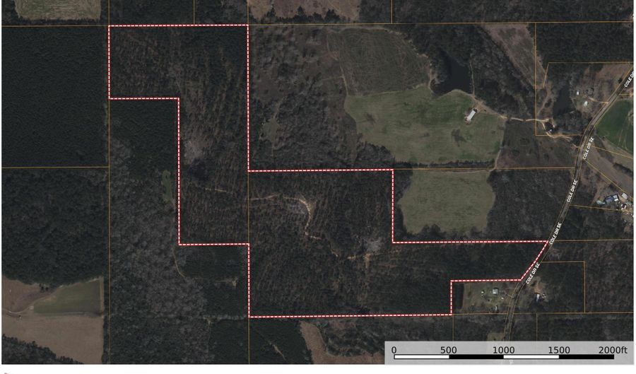 SE Cole Drive, Bogue Chitto, MS 39629 - 0 Beds, 0 Bath
