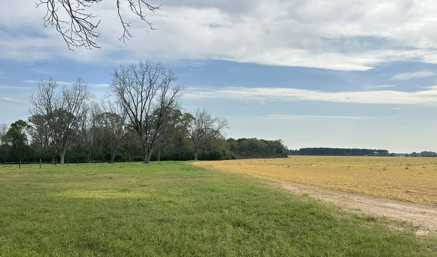 Vinson Ray Road, Baker, FL 32531 - 0 Beds, 0 Bath