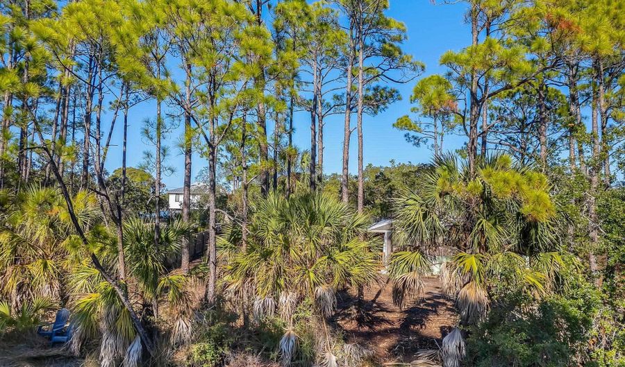 202 Harbor Cir, Alligator Point, FL 32346 - 0 Beds, 0 Bath