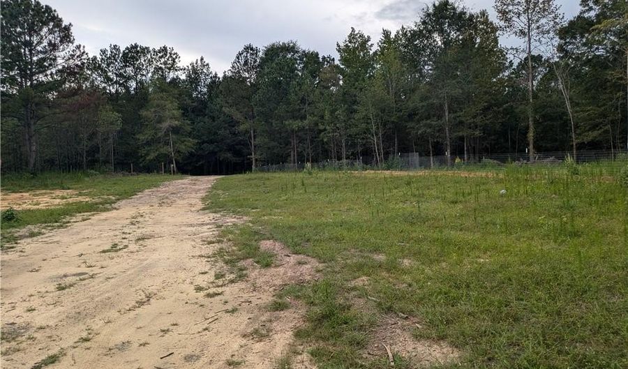 0 Lee Road 393, Auburn, AL 36832 - 0 Beds, 0 Bath