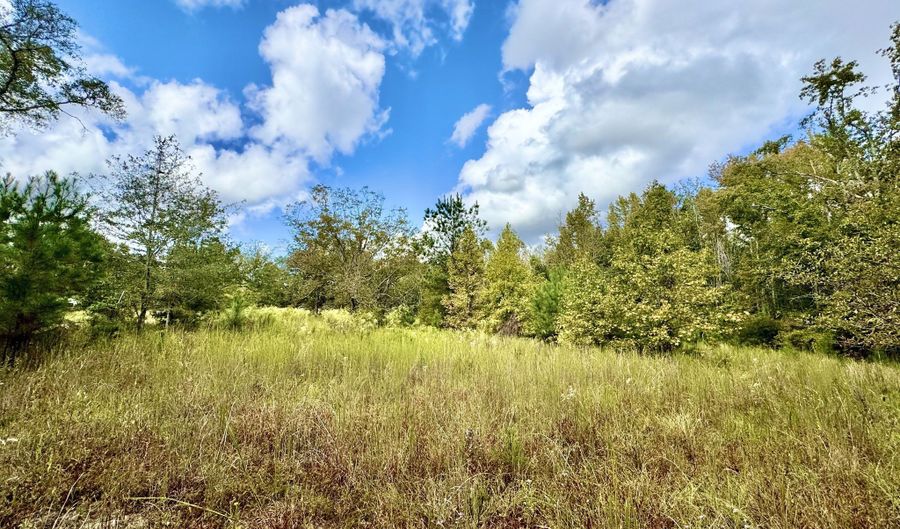 Eugene Ward Road, Adrian, GA 31002 - 0 Beds, 0 Bath