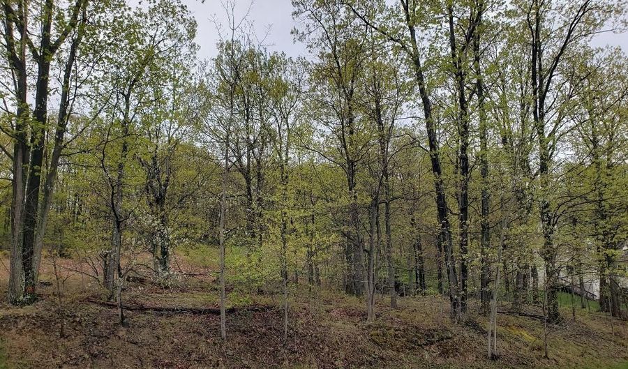 Ivyside Estates Lane lot 30, Altoona, PA 16601 - 0 Beds, 0 Bath