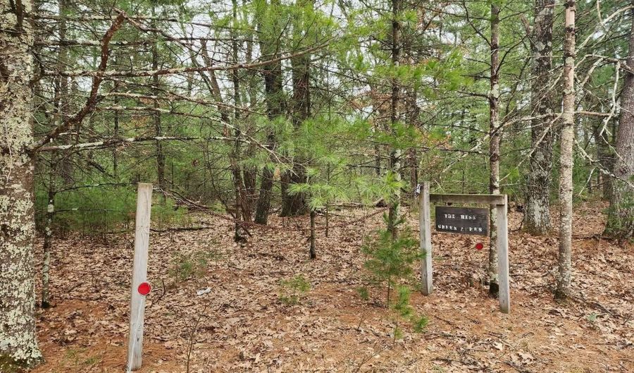 Dyke Avenue lot 8, Adams, WI 53910 - 0 Beds, 0 Bath