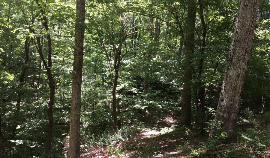 Damascus Road, Ball Ground, GA 30107 - 0 Beds, 0 Bath