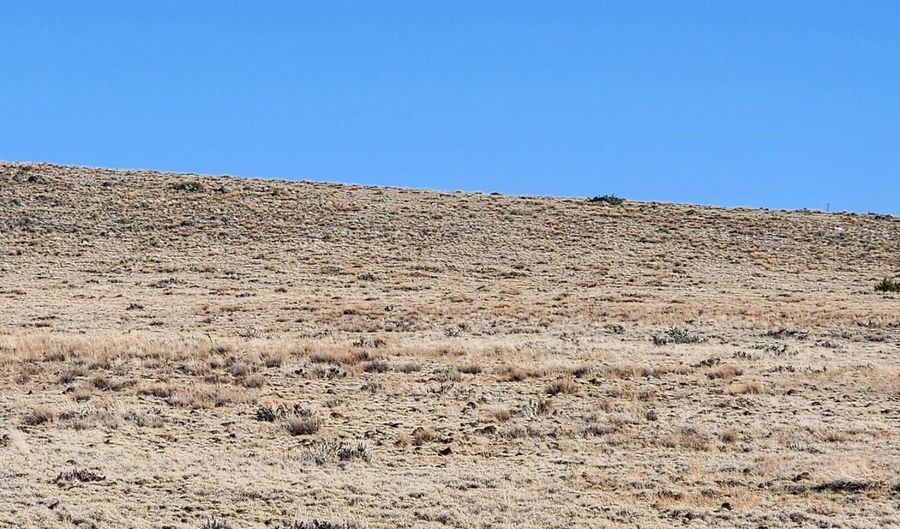 Tbd 340, Concho, AZ 85924 - 0 Beds, 0 Bath