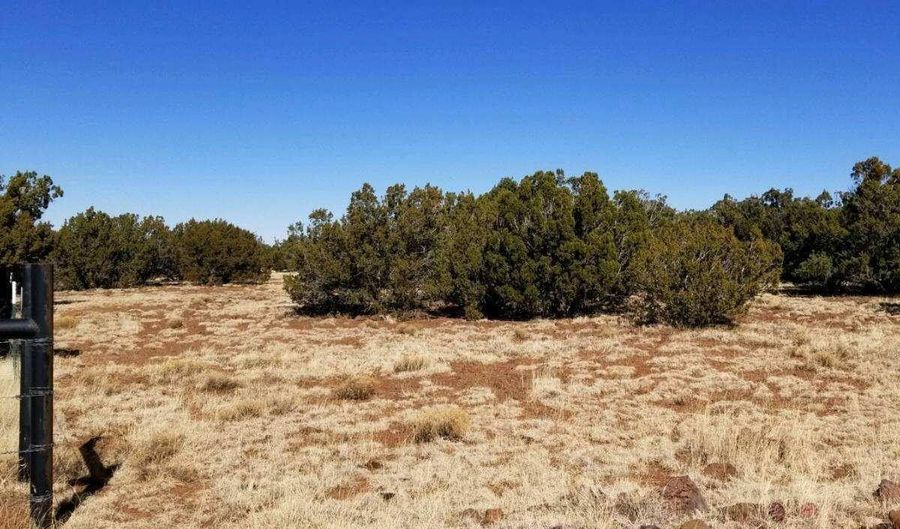 29 County Road 8069, Concho, AZ 85924 - 0 Beds, 0 Bath