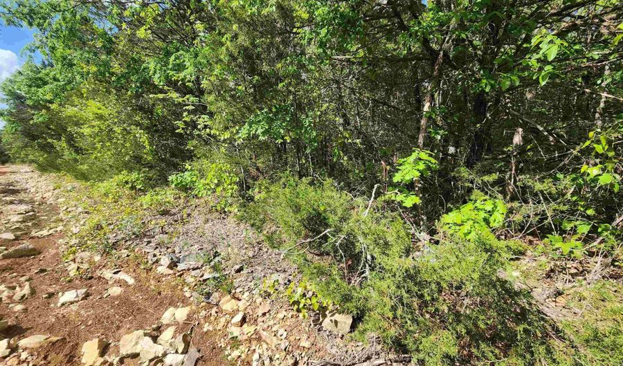 Strawberry Valley Road, Ash Flat, AR 72513 - 0 Beds, 0 Bath