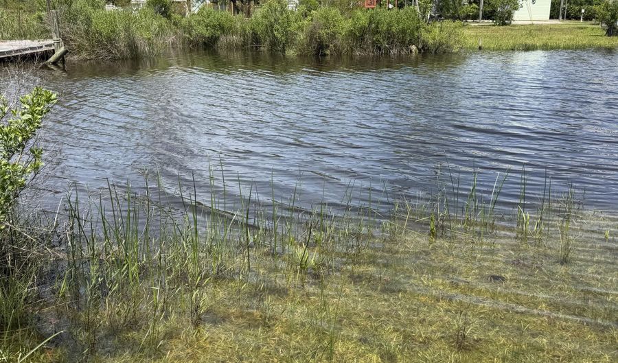 Dolphin Street lot 20, Bay St. Louis, MS 39520 - 0 Beds, 0 Bath