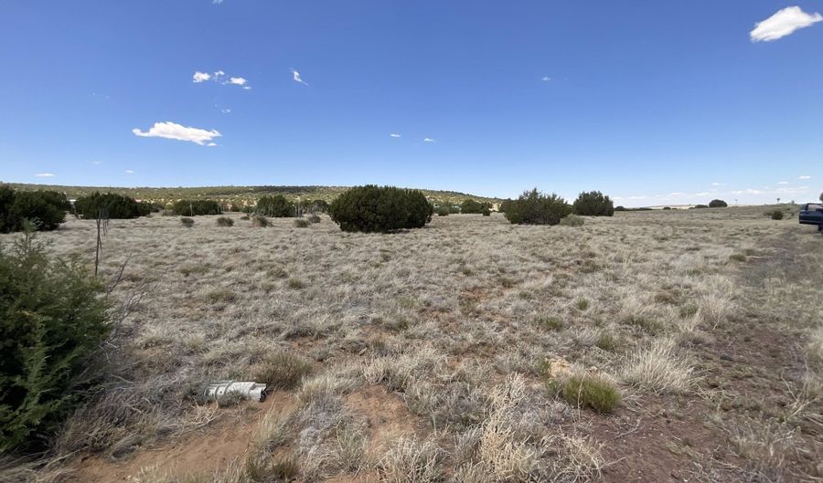 Lot 393 Country Lane, Concho, AZ 85924 - 0 Beds, 0 Bath